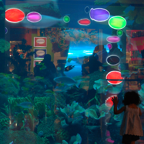 Aquarium at Dubai mall